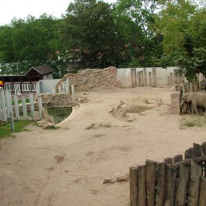 Elephant Paddock at Halle, 04/09/11
