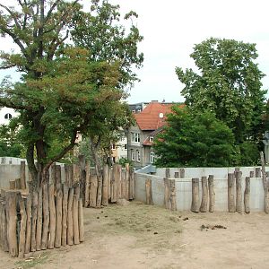 Elephant Paddock at Halle, 04/09/11