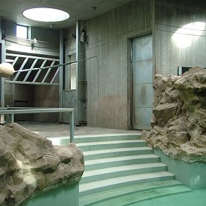 Elephant House Interior at Halle, 04/09/11