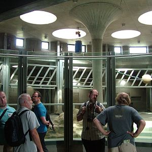 Elephant House Interior at Halle, 04/09/11