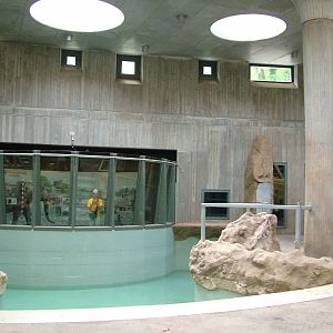 Elephant House Interior at Halle, 04/09/11