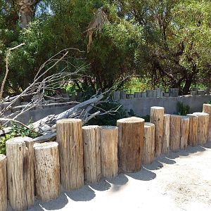 Common Water Snake Exhibit