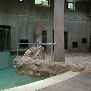 Elephant House Interior at Halle, 04/09/11