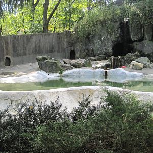 Part 1 of Polar Bear exhibit