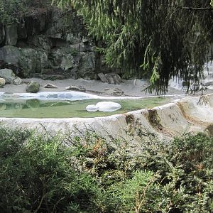 Part 2 of Polar Bear Exhibit