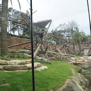 Chimpanzee Exhibit