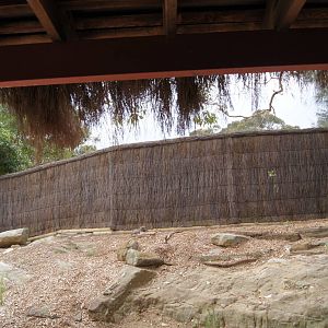 Former Ostrich Exhibit