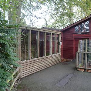 Black Howler Temp. Enclosure