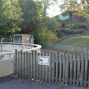 Gelada Baboon Enclosure