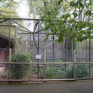 Quaratine Outdoor enclosure Primate House 1