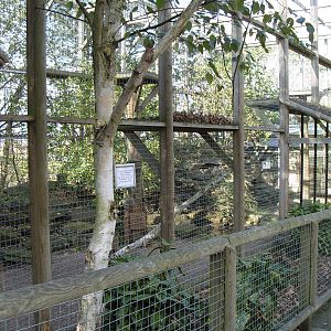 Snow Leopard Enclosure