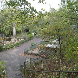 Tapir, Mongoose & Babirusa Enclosures