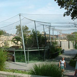 Cat House at Halle, 04/09/11