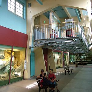 Cat House Interior at Halle, 04/09/11