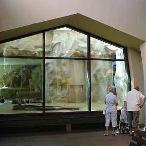 Cat House Interior at Halle, 04/09/11