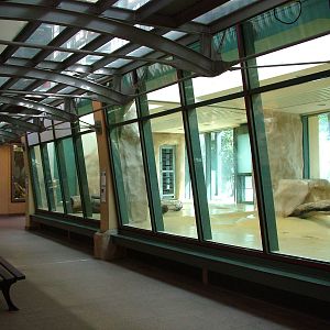 Cat House Interior at Halle, 04/09/11