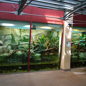 Cat House Interior at Halle, 04/09/11