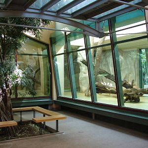 Cat House Interior at Halle, 04/09/11