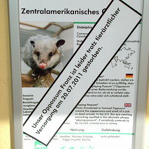 Signage Example at Halle, 04/09/11