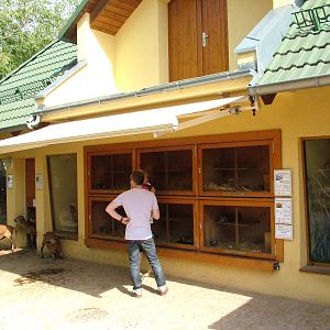Children's Farm at Halle, 04/09/11