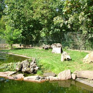 Anteater Exhibit at Halle, 04/09/11