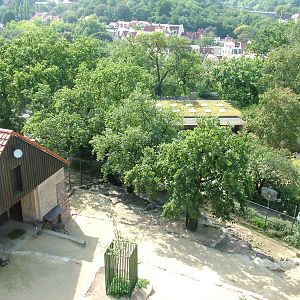 View of Bharal and Zebra Exhibits at Halle, 04/09/11