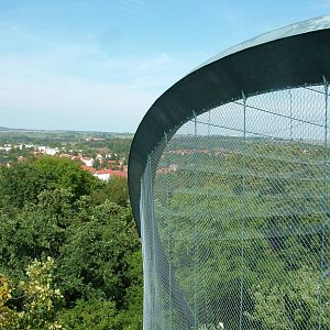 Flight Aviary Roof at Halle, 04/09/11