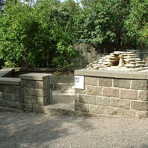 Prairie Marmot Exhibit at Halle, 04/09/11