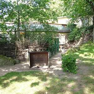 Pudu Exhibit at Halle, 04/09/11