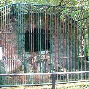 Historic Exhibit at Halle, 04/09/11