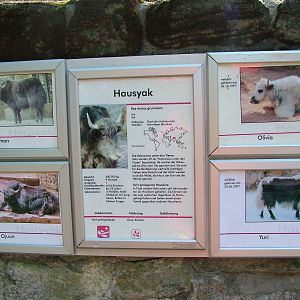 Signage Example at Halle, 04/09/11