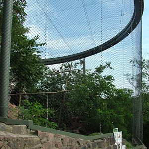 Vulture Aviary at Halle, 04/09/11