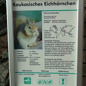 Signage Example at Halle, 04/09/11