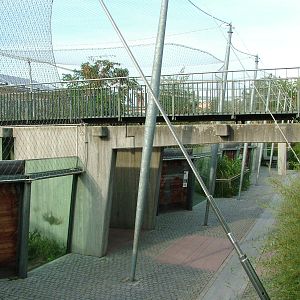 Cat House at Halle, 04/09/11