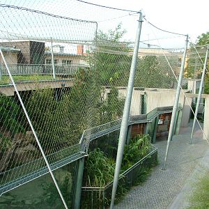 Cat House at Halle, 04/09/11