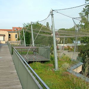 Cat House at Halle, 04/09/11