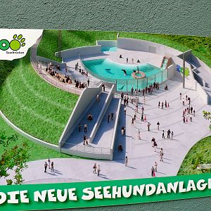 Picture of new seal pool