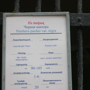 leopard panel ( Armenia ) Yerevan zoo