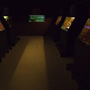 sioux city Venom Center Gran Canaria