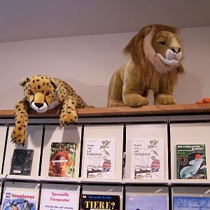 zoo shop 1