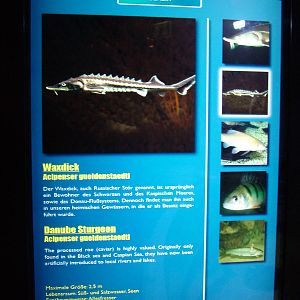 Signage Example at SeaLife Berlin, 05/09/11