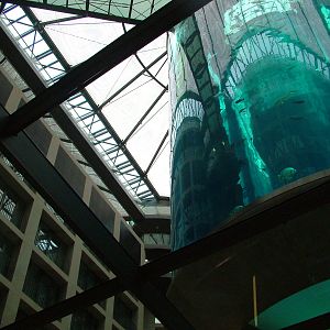 Aqua-Dom at SeaLife Berlin, 05/09/11