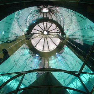 Aqua-Dom at SeaLife Berlin, 05/09/11