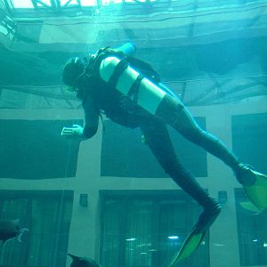 Aqua-Dom at SeaLife Berlin, 05/09/11