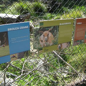 signage for the African Savannah