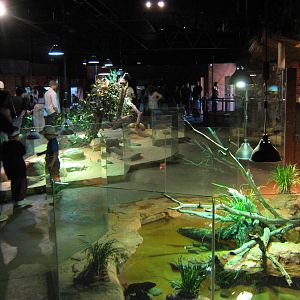 reptile house interior