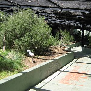 interior of one of the native walk-through aviaries