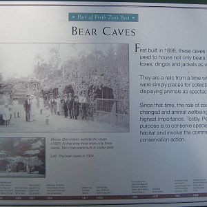 historic exhibit of the old bear caves
