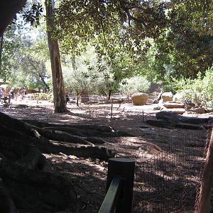 view of walk-through enclosure for kangaroos etc