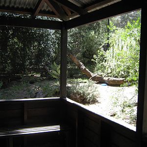 numbat enclosure